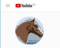 YouTube Kanal - Meisterhof Welsh Cob's